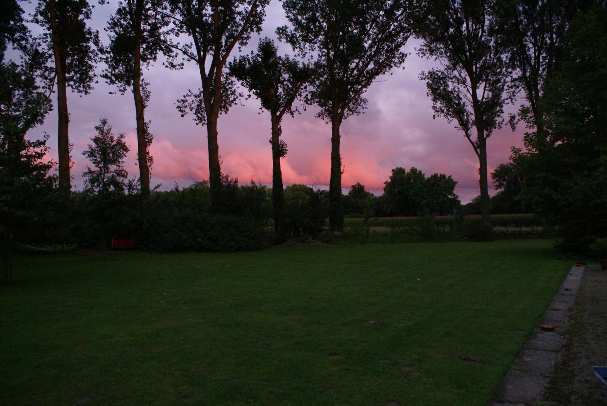 B&B De Metstermolen ซินท์-ทราวเดิน ภายนอก รูปภาพ