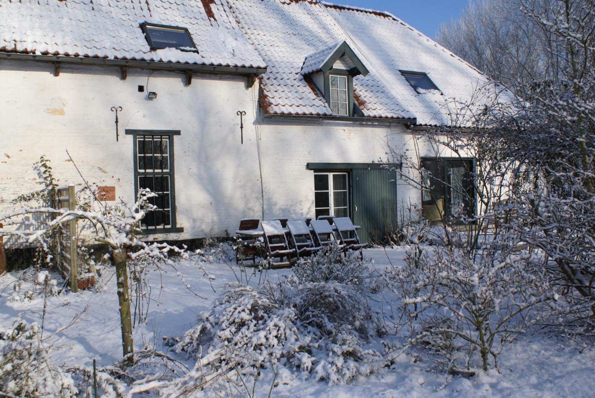 B&B De Metstermolen ซินท์-ทราวเดิน ภายนอก รูปภาพ