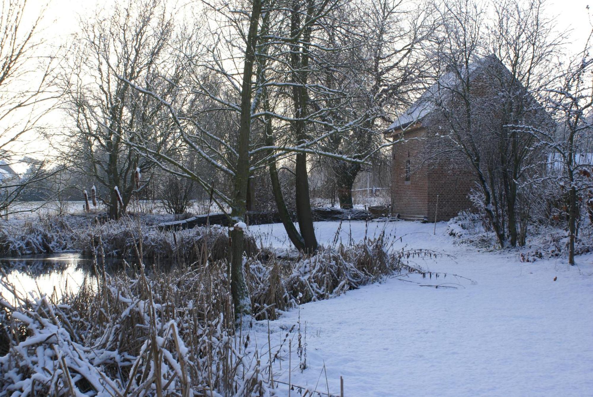B&B De Metstermolen ซินท์-ทราวเดิน ภายนอก รูปภาพ