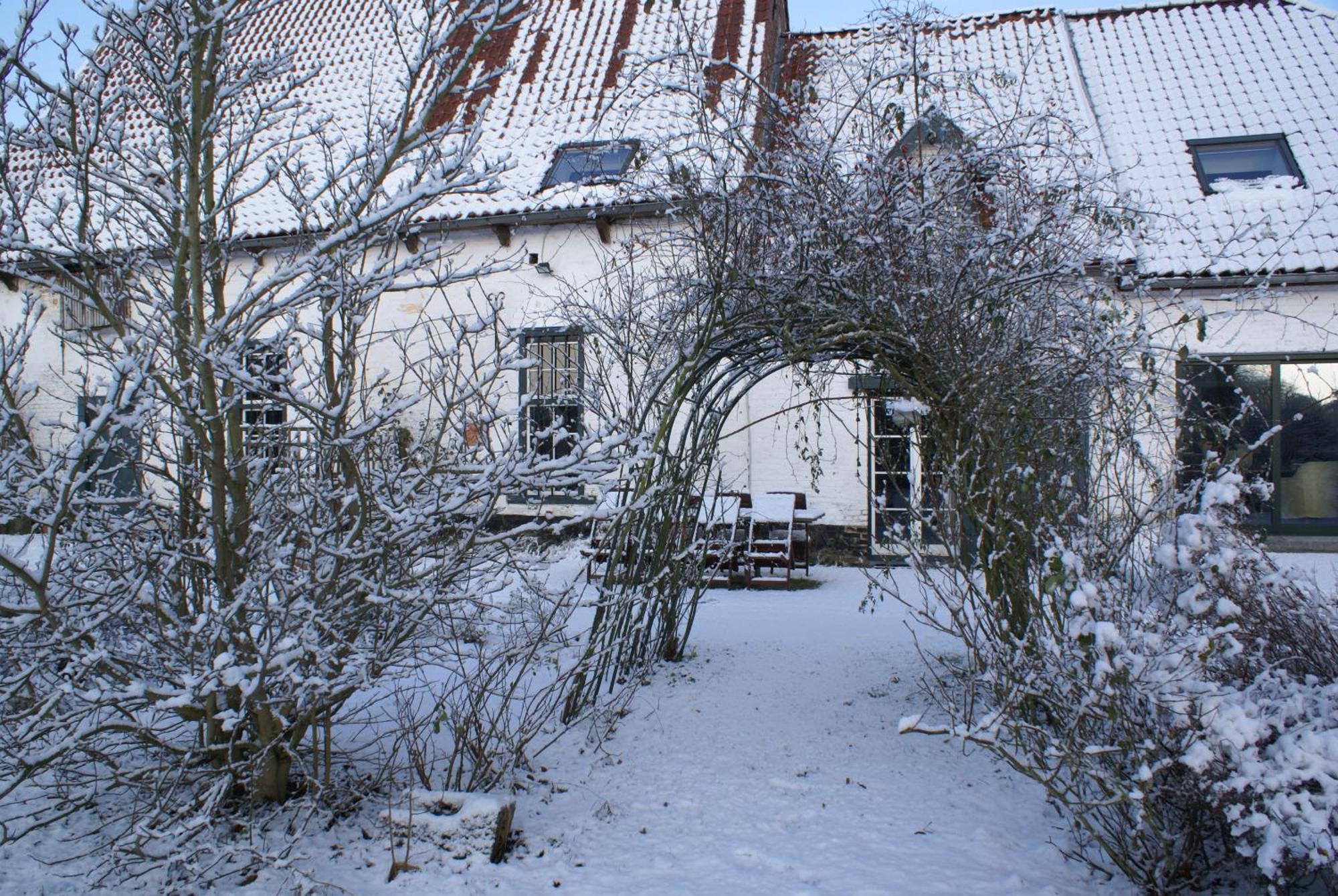 B&B De Metstermolen ซินท์-ทราวเดิน ภายนอก รูปภาพ