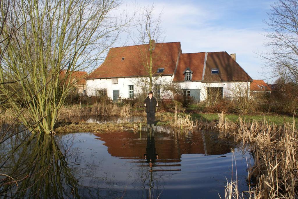 B&B De Metstermolen ซินท์-ทราวเดิน ห้อง รูปภาพ