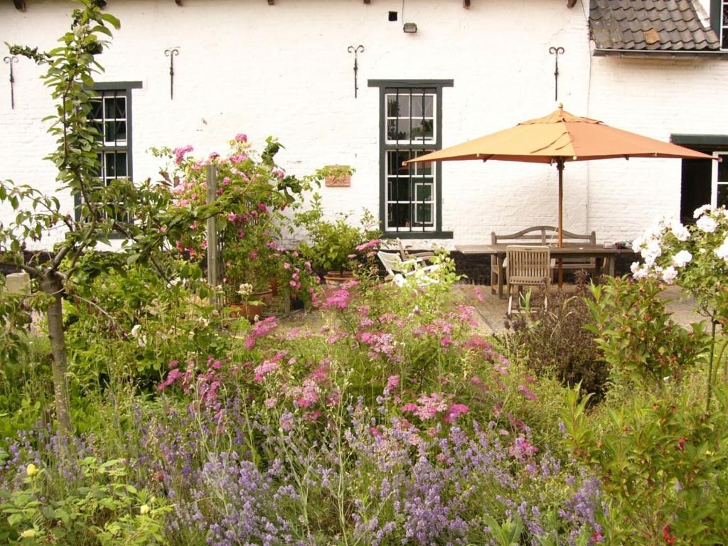 B&B De Metstermolen ซินท์-ทราวเดิน ภายนอก รูปภาพ